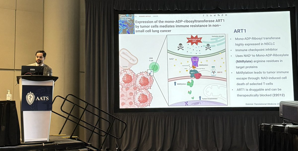 huroqu90's tweet photo. “ADPRH is a novel tumor suppressor that may help identify tumors that benefit from anti-ART blockade” Absolutely thrilled and honored for the opportunity to present our work at @AATSHQ #AATS2024 @BrendonStilesMD @nchudgar @MontefioreNYC @EinsteinMed https://t.co/ddOOih2zgz