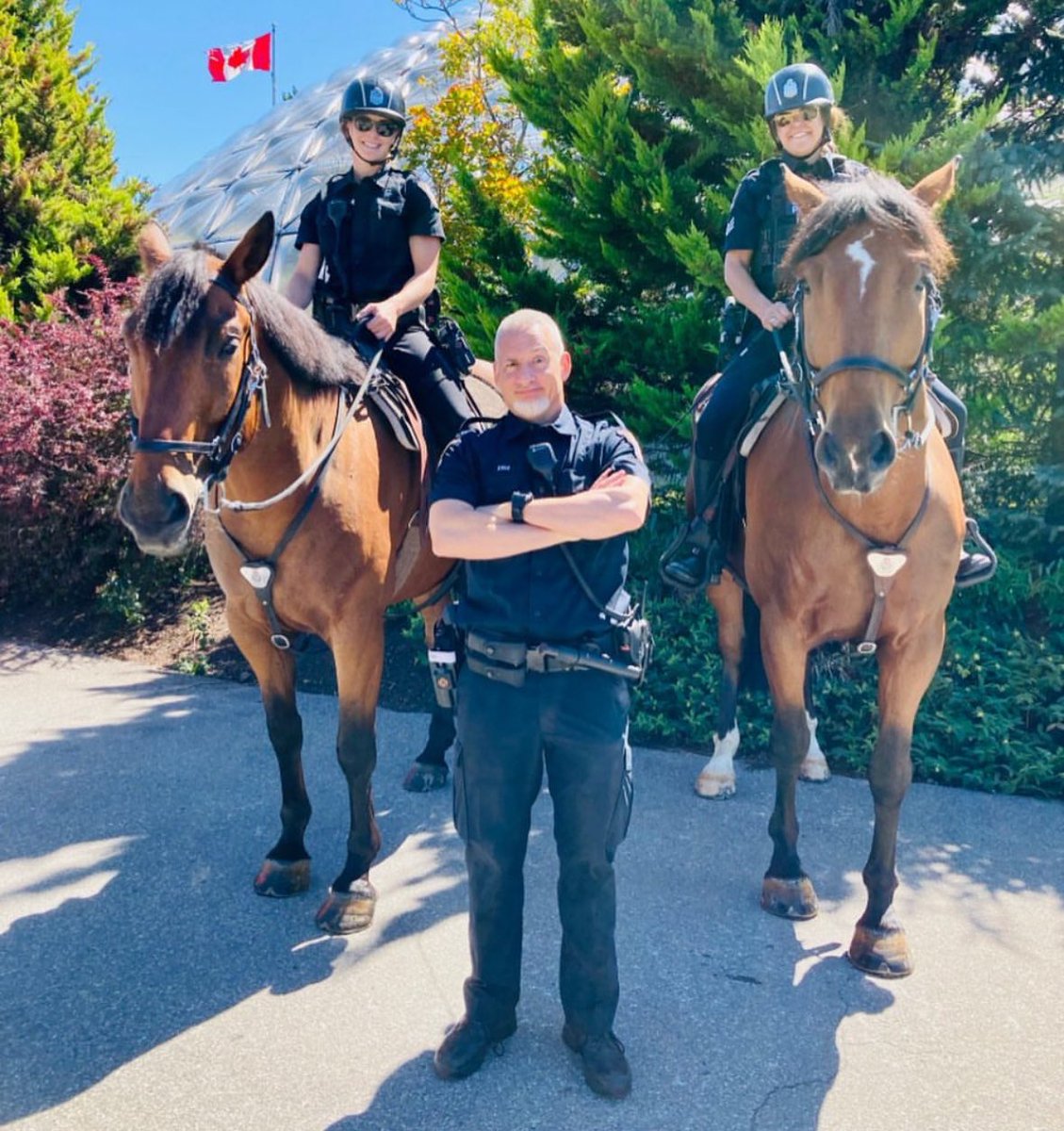 Congrats on your well earned retirement, Sue. We'll miss you around D4... @VPDHorses
