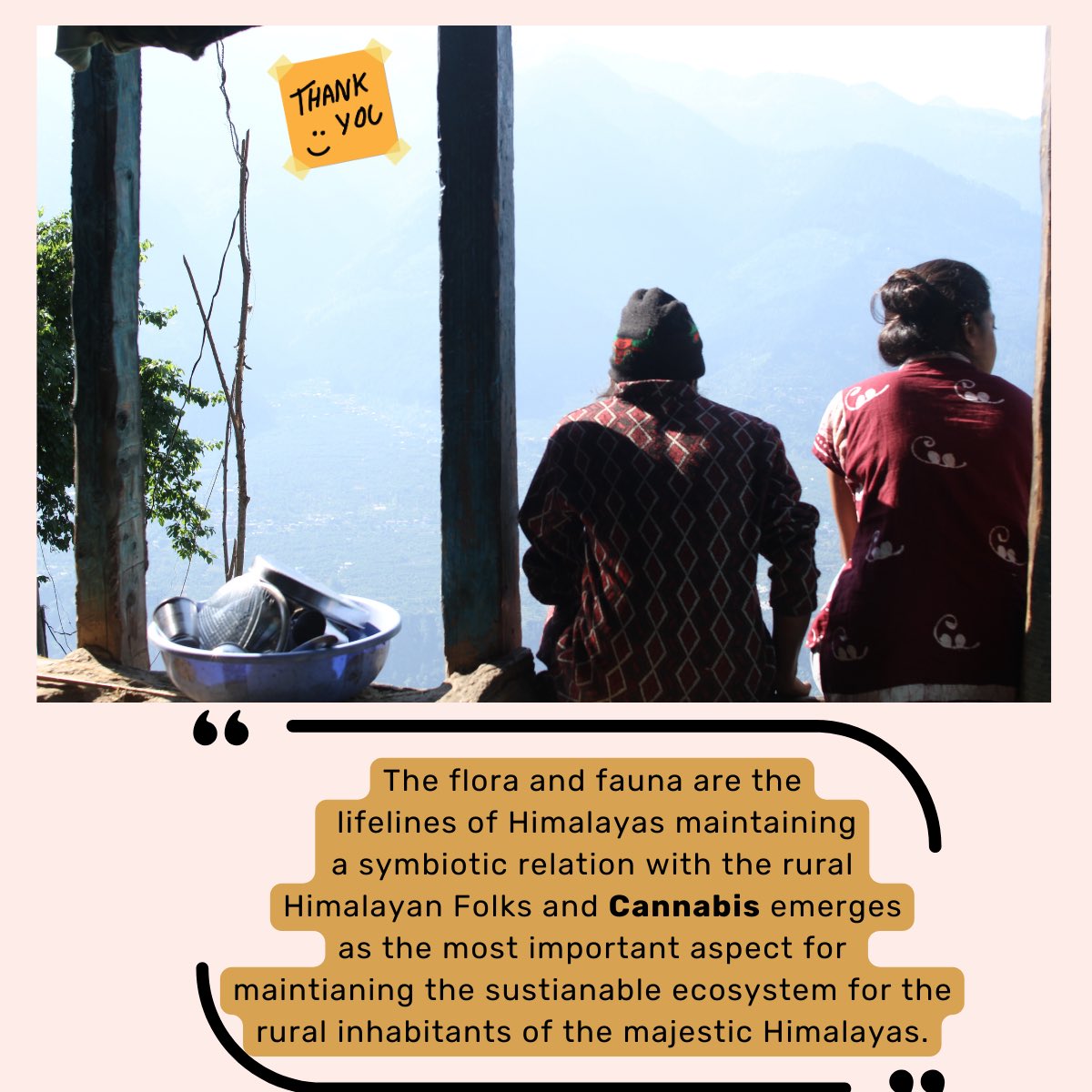 HempHimalayan's tweet photo. When it comes to the benefits' outreach, there is difference of incomes for farmer representatives and farmers. Many startups coming from the urban landscapes bring ideas but often lack a "rural instinct" and this gap has been tried to be filled in by us. 

#himalayanhemp https://t.co/qB4lPFpuRF