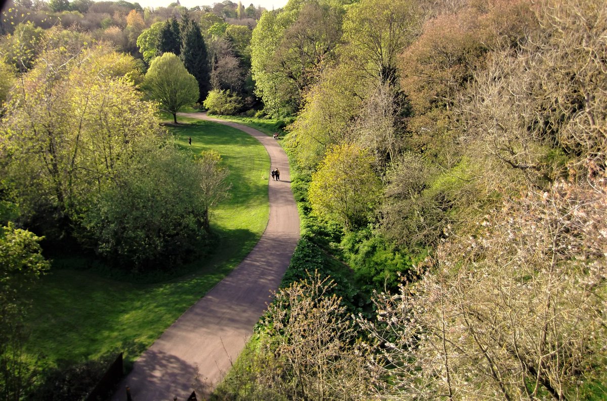 Evening at Jesmond Dene, Newcastle. I took this photo from the Armstrong bridge. #Newcastle #Jesmond