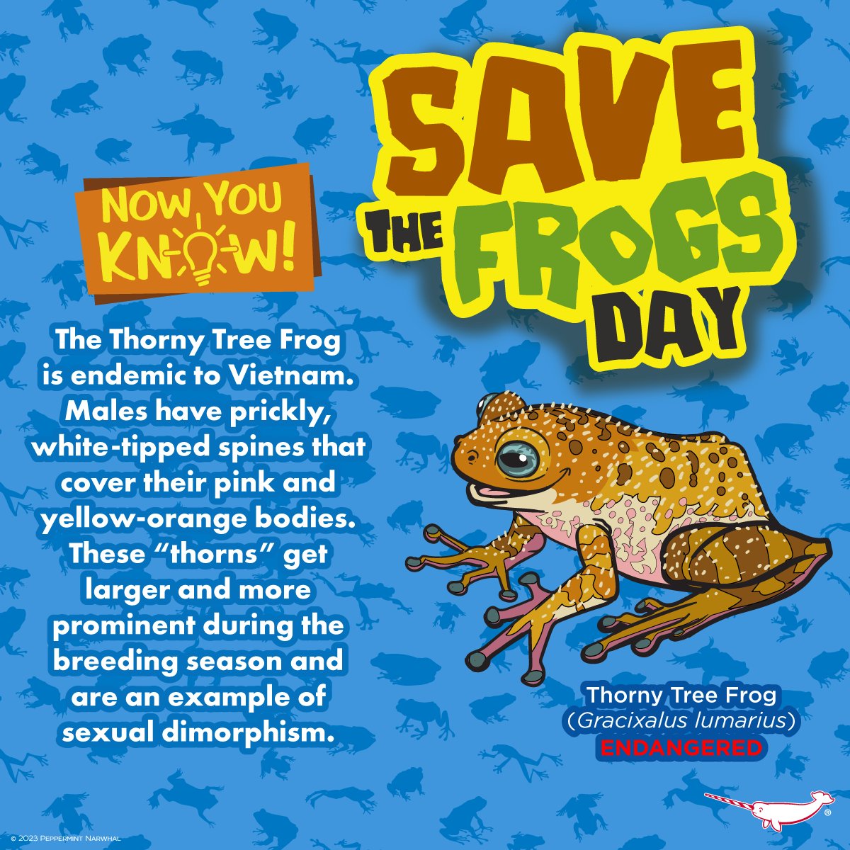 #SaveTheFrogDay
#NowYouKnow #ThornyTreeFrog

#Frog & #Amphibian Merch:
rb.gy/oeyii9

SALE - Save 20% Off Everything in the #PeppermintNarwhal Store.
Shop: peppermintnarwhal.com
Ends 4/30/24.

Int'l Shoppers visit our Etsy store:
etsy.com/shop/Peppermin…