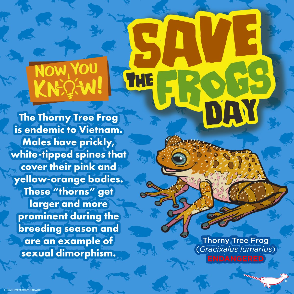 #SaveTheFrogDay #NowYouKnow #ThornyTreeFrog #Frog & #Amphibian Merch: rb.gy/oeyii9 SALE - Save 20% Off Everything in the #PeppermintNarwhal Store. Shop: peppermintnarwhal.com Ends 4/30/24. Int'l Shoppers visit our Etsy store: etsy.com/shop/Peppermin…