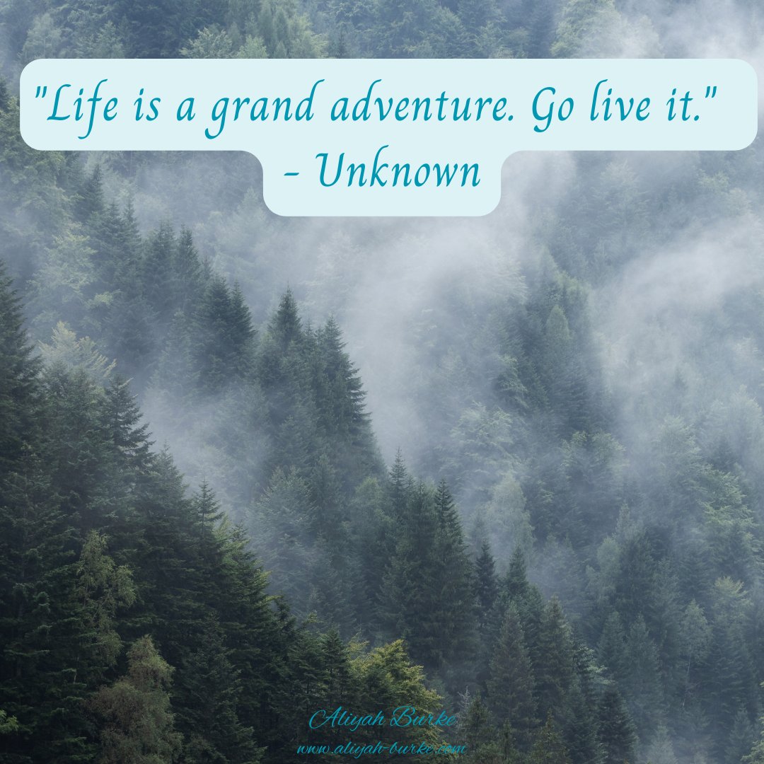 #dailyquote #adventureawaits #lifewithadventure #seekadventure #bebold #findyourhappiness