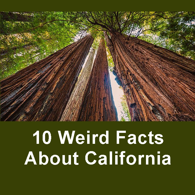 Discover 10 Weird Facts About California in the cliptext section at FreeSpeedReads.com/10-weird-facts… (#California, #redwoods, #CaliforniaHistory, #CaliforniaGeography, #LosAngeles, #SanFrancisco, #CaliforniaLaws, #CaliforniaLegal, #DeathValley, #MountWhitney, #CaliforniaWeather)