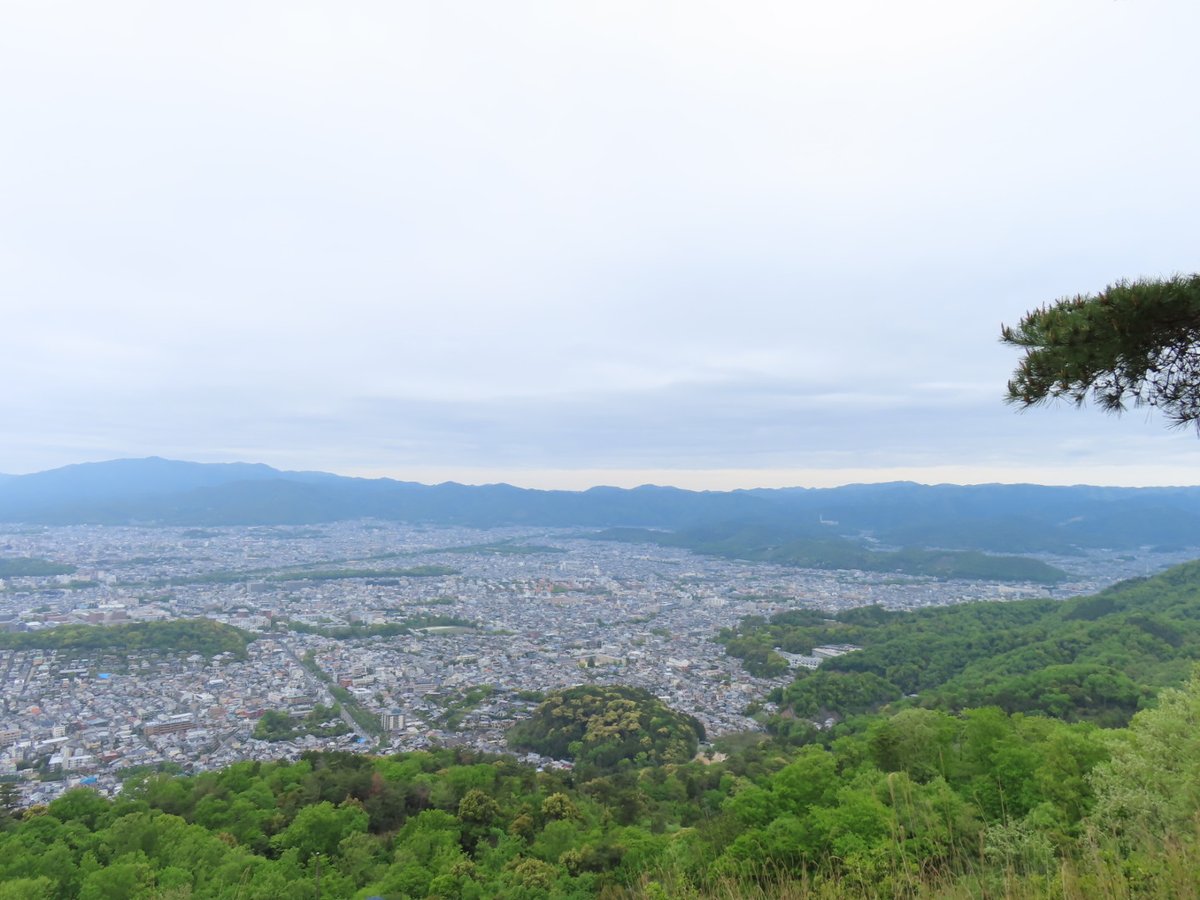 oshirukojo's tweet photo. ���日、友人とハイキング。
下山途中に足捻った。
でも��通に下山してうろうろしつつ
ランチしてカフェして帰宅。
んで、足見てみてたらめっちゃ腫れてて急に痛くなった。
今日は１日引きこもるしかない。
予定ないからいいけど。 https://t.co/0lUvH06qDf