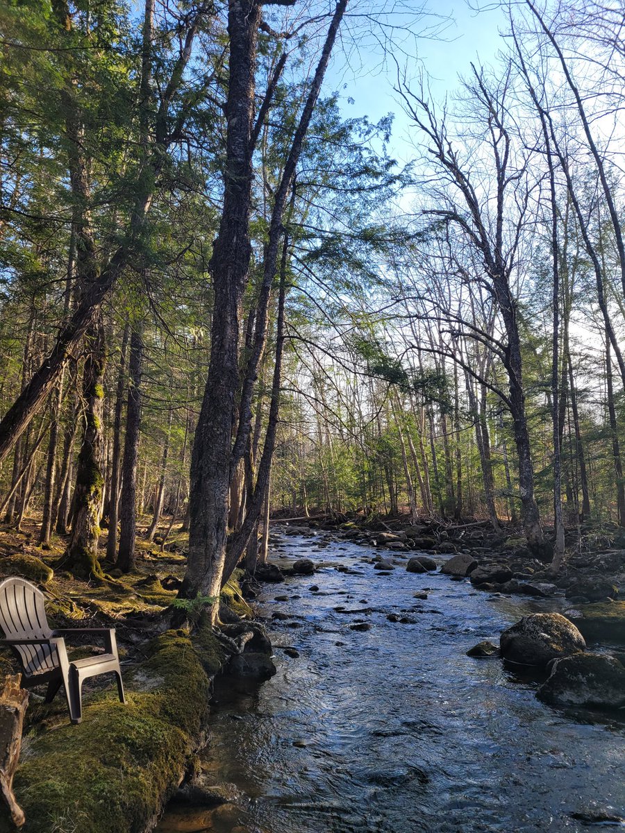 It is a stunning day in my part of the woods. #brookchair #SaturdayVibes