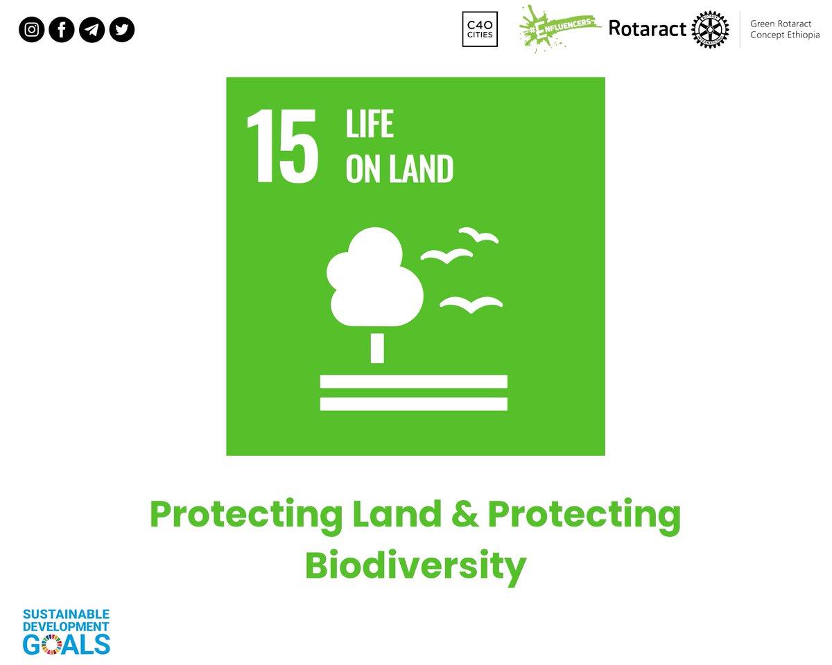 The final SDG highlight for our #EarthDay2024 campaign is 🥁 

#SDG15: aims to protect and restore terrestrial ecosystems, especially forests, which regulate climate, provide clean air and water, and support biodiversity for a sustainable future.