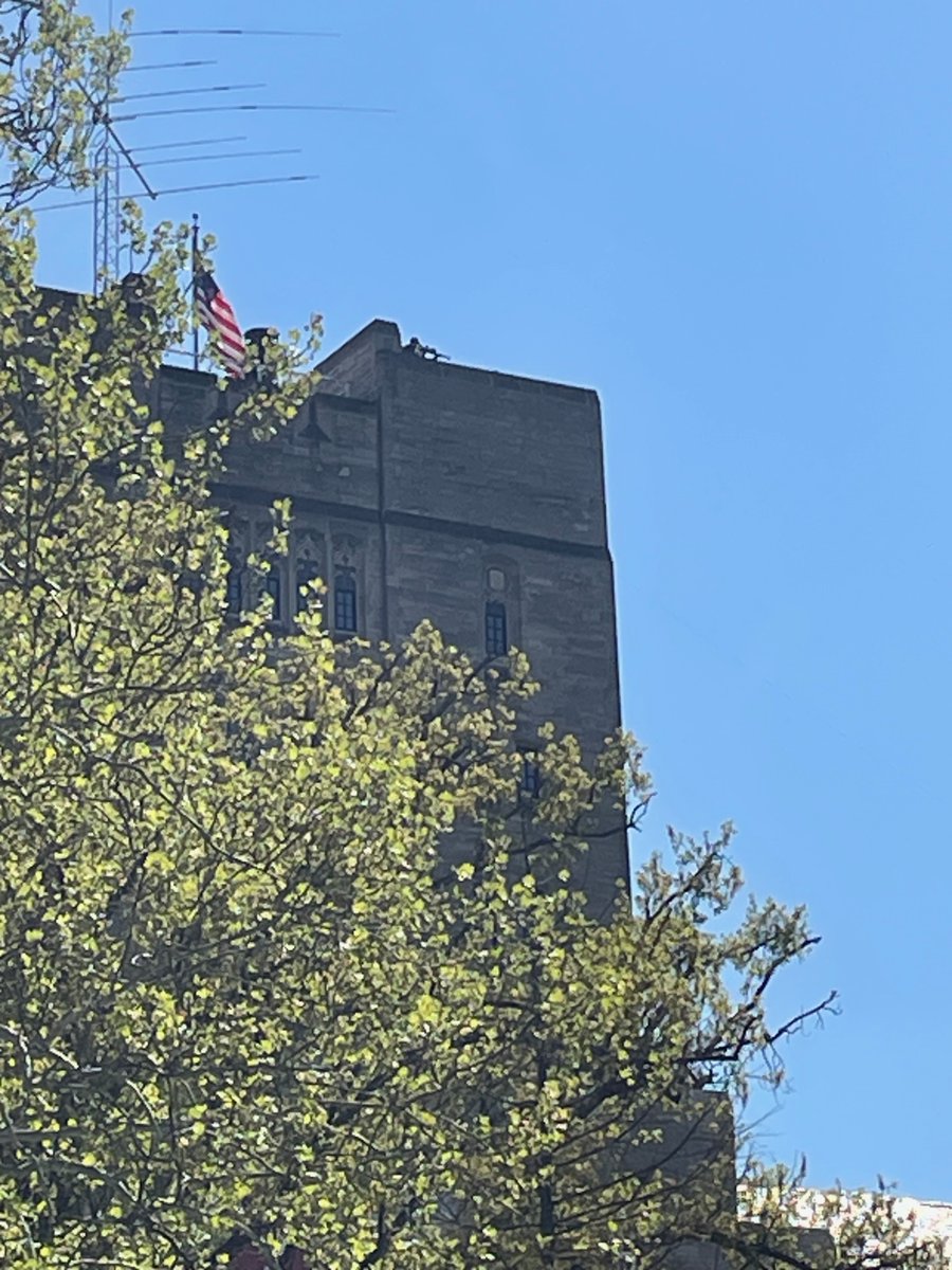 andrew_mmiller's tweet photo. I can confirm the validity of this photo from Thursday showing what appears to be a sniper rifle atop the IMU. The pictures were taken by P. David Polly, chair of the IU Department of Earth and Atmospheric Sciences from 3:50-3:55 p.m. I did not observe guns atop the IMU today. https://t.co/rDqaf1PFTY