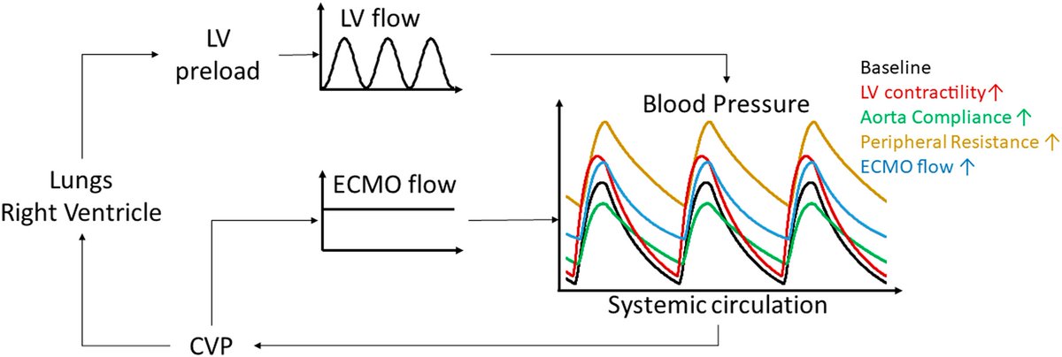 The physiology of venoarterial extracorporeal membrane oxygenation - A comprehensive clinical perspective CCR Journal Watch criticalcarereviews.com/latest-evidenc… Get the latest critical care literature every weekend via the CCR Newsletter - subscribe at criticalcarereviews.com/newsletters/su…