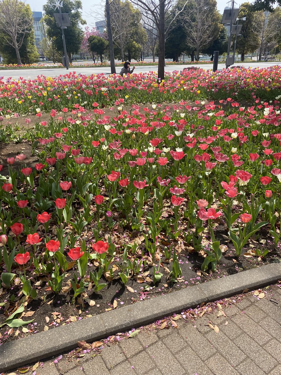 今日照葉いってきた
花火大会？でバス止まってて千早まで一時間歩いた🚎  #福岡