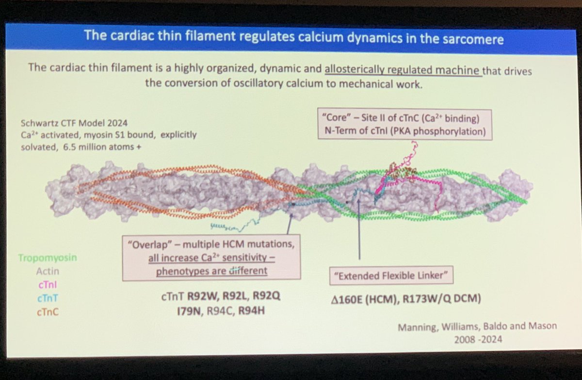 Extraordinary science of @jct_ucb, pioneering physician-scientist in #HCM biology & medicine at @UAZMedTucson, began w/ morning report w/ @MyronWeisfeldt when they were at @ColumbiaMed. Wonderful journey from clinic to bench then to clinic! @SarnoffCardio @sday_hcm