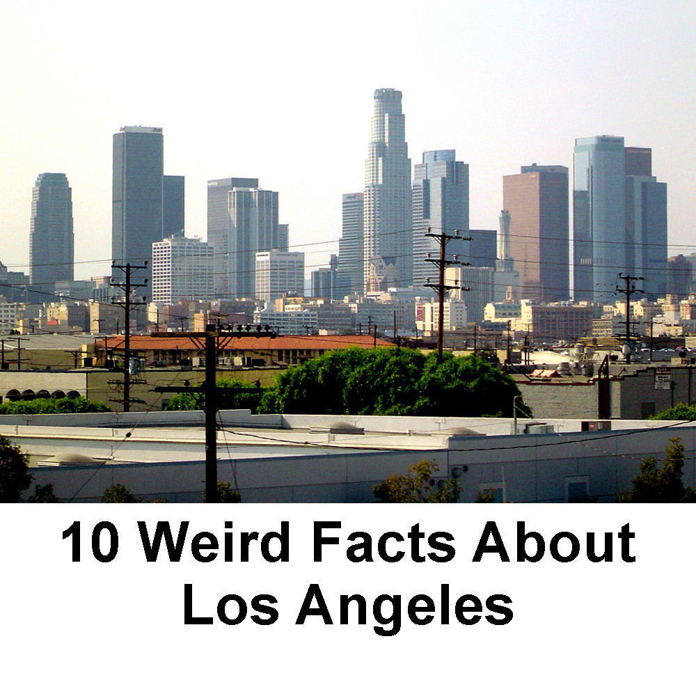 Discover 10 weird facts about Los Angeles at FreeSpeedReads.com/10-weird-facts… (#LosAngeles, #LA, #LACalifornia, #LosAngelesCalifornia, #California, #bigCity, #population, #CaliforniaDesert, #Hollywood, #BeverlyHills, #EastLA, #Anaheim, #megalopolis, #metropolis, #movies, #Disneyland)