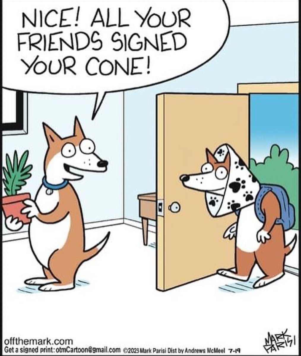 Embracing the cone of dignity because let's face it, they're still adorable! 🥰🐶❤️

Comic  Credit:  @mark_parisi_otm #doghumor #dogcomic #dogmeme #dogmomsclub #dogtreats #dogtreatsfordays #funnymemesdaily #funnycomic #dogfunny #dogtv #dogcomicstrips