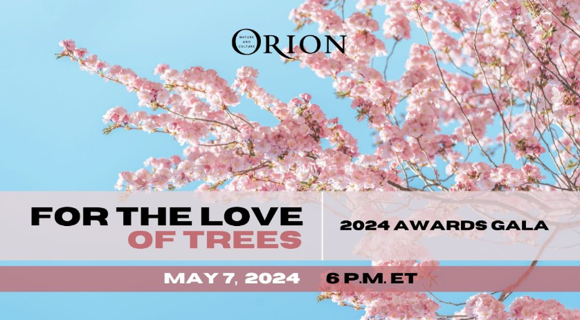 'For the Love of Trees' Annual Awards Gala from @Orion_Magazine, a free online fundraising event featuring Robin Wall Kimmerer, Richard Powers, Ed Yong, and others. May 7, 2024, 6 pm ET. us.givergy.com/OrionMagazine2…