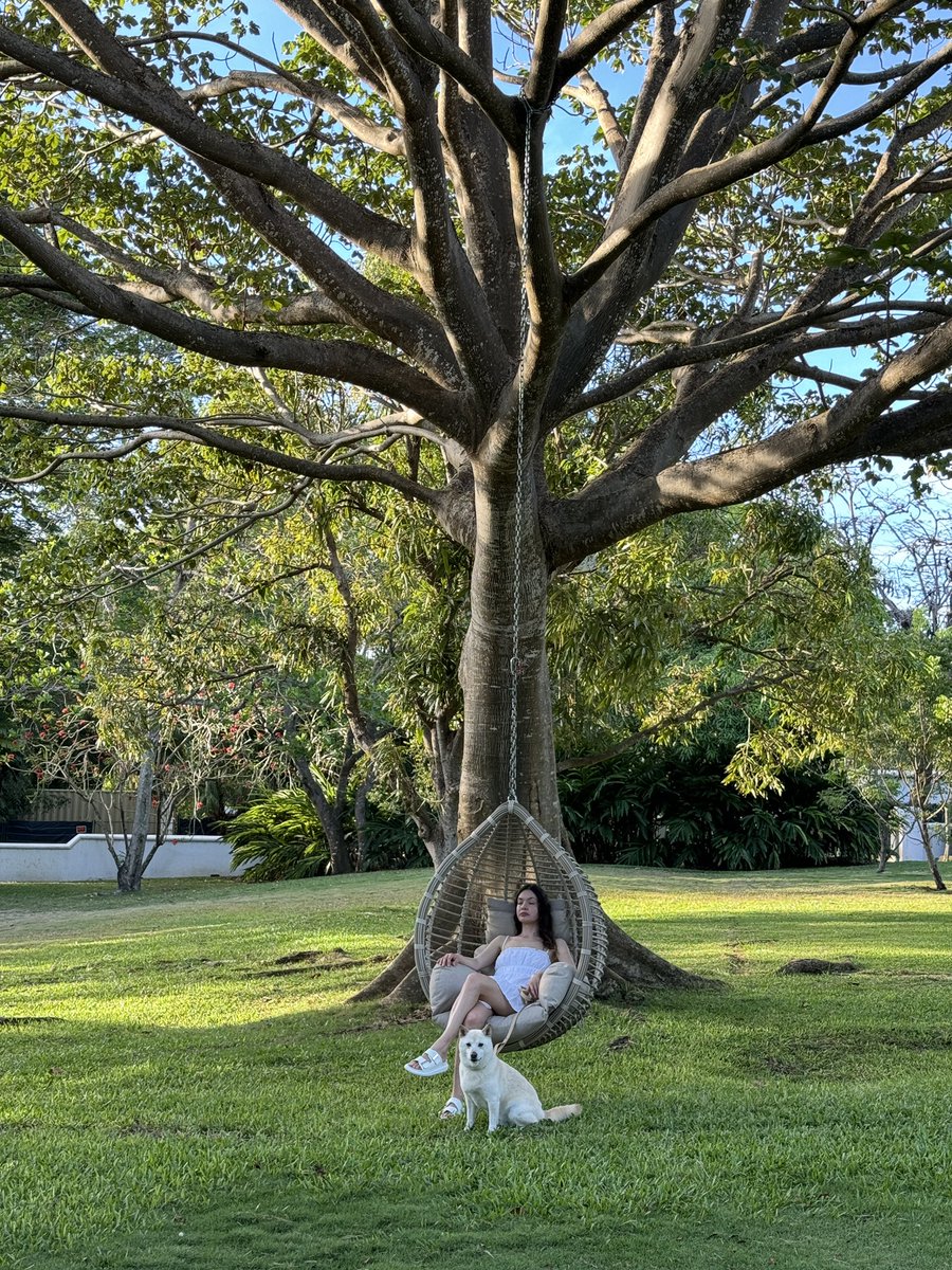 Planning to work from Barbados for the next few weeks. Will report on productivity levels in paradise at the end 😅💻