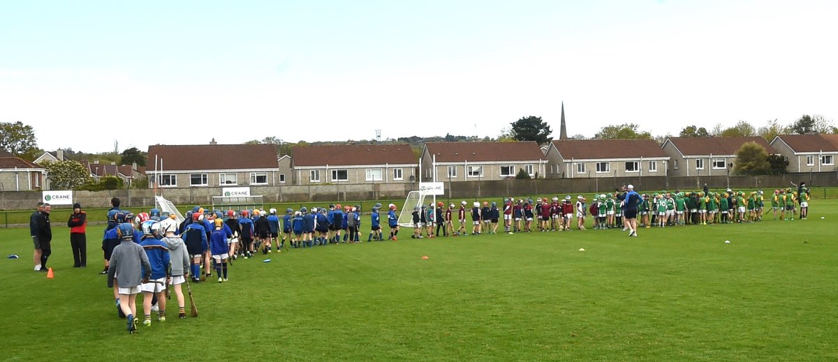 A fantastic occasion at Church Road today for the 2024 Cashman Cup 💚💛 📸 @GeorgeHatchell2