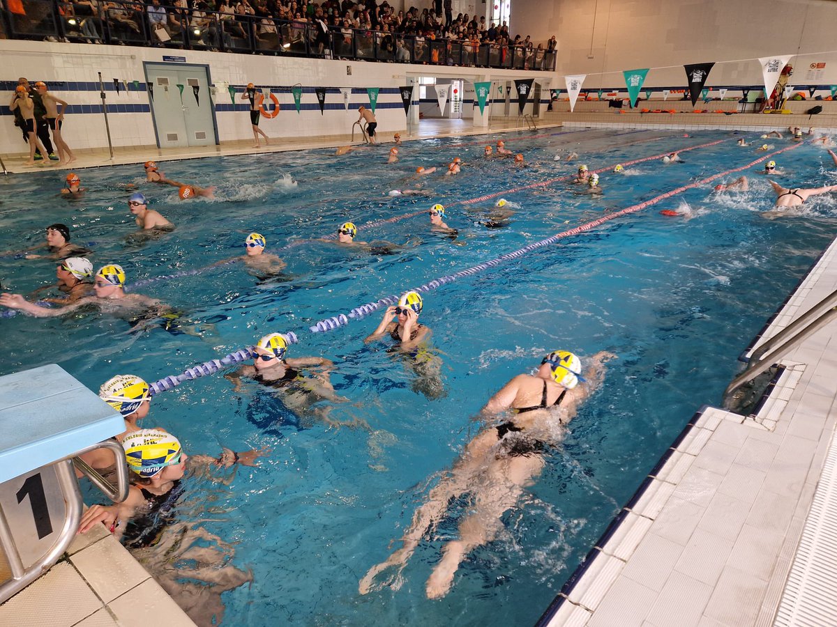 🏊🏻‍♀️ DEPORTE | Nuestro concejal @AlbertoBlazquez acude esta tarde a la 4ª Jornada Escolar de Natación en las piscinas cubiertas del Val. 🏅 ¡Enhorabuena a todos los participantes y especialmente a las ganadoras y ganadores!