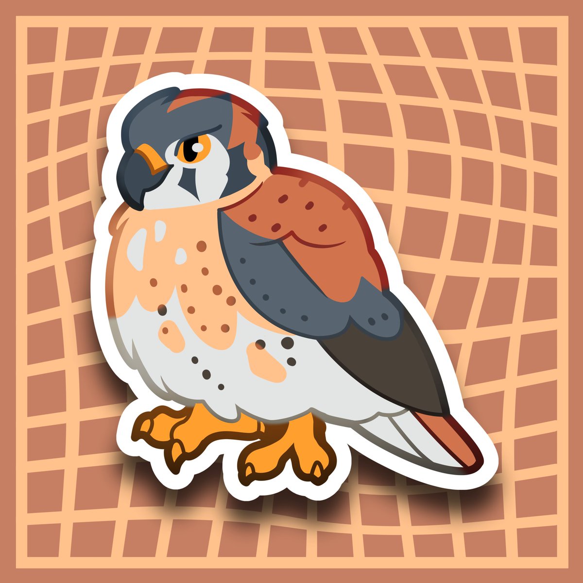 Day 58 of Bird-A-Day!

The American Kestrel!