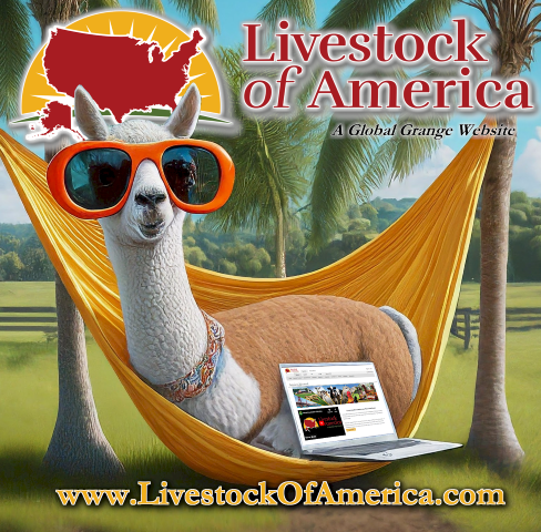 GlobalGrange's tweet photo. Ahoy there, landlubbers and llama wranglers!

https://t.co/QNdDar20rj

#LivestockOfAmerica #Llamas #LlamaStuds #Ranching https://t.co/b1TEbfT5kg