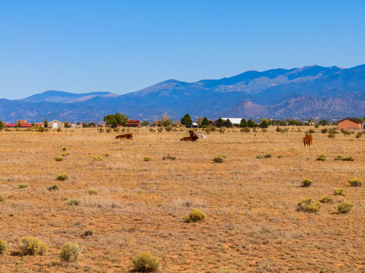 reaofnm's tweet photo. 265 Acres For Sale in Santa Fe,NM
https://t.co/a3Ia7E2Dto
#landforsale #ranchforsale #SantaFe #NewMexico #nmland #equestrianpropertyforsale #vacantlandforsale #investment #buynow #RANCHO #Cattleland https://t.co/LWcy9kDo4M