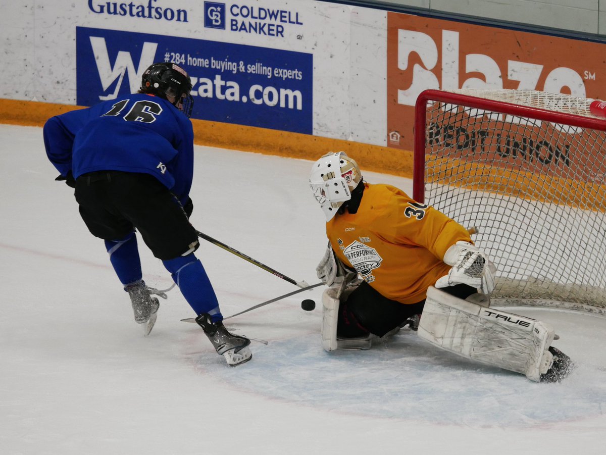 CCM NIT: The Minnesota Seniors defeat the Michigan Seniors 4-3 after a shootout to claim first place in their pool. MN goaltender Sabev saves all three shootout attempts. Trevor Aberwald with the game winning shootout goal.