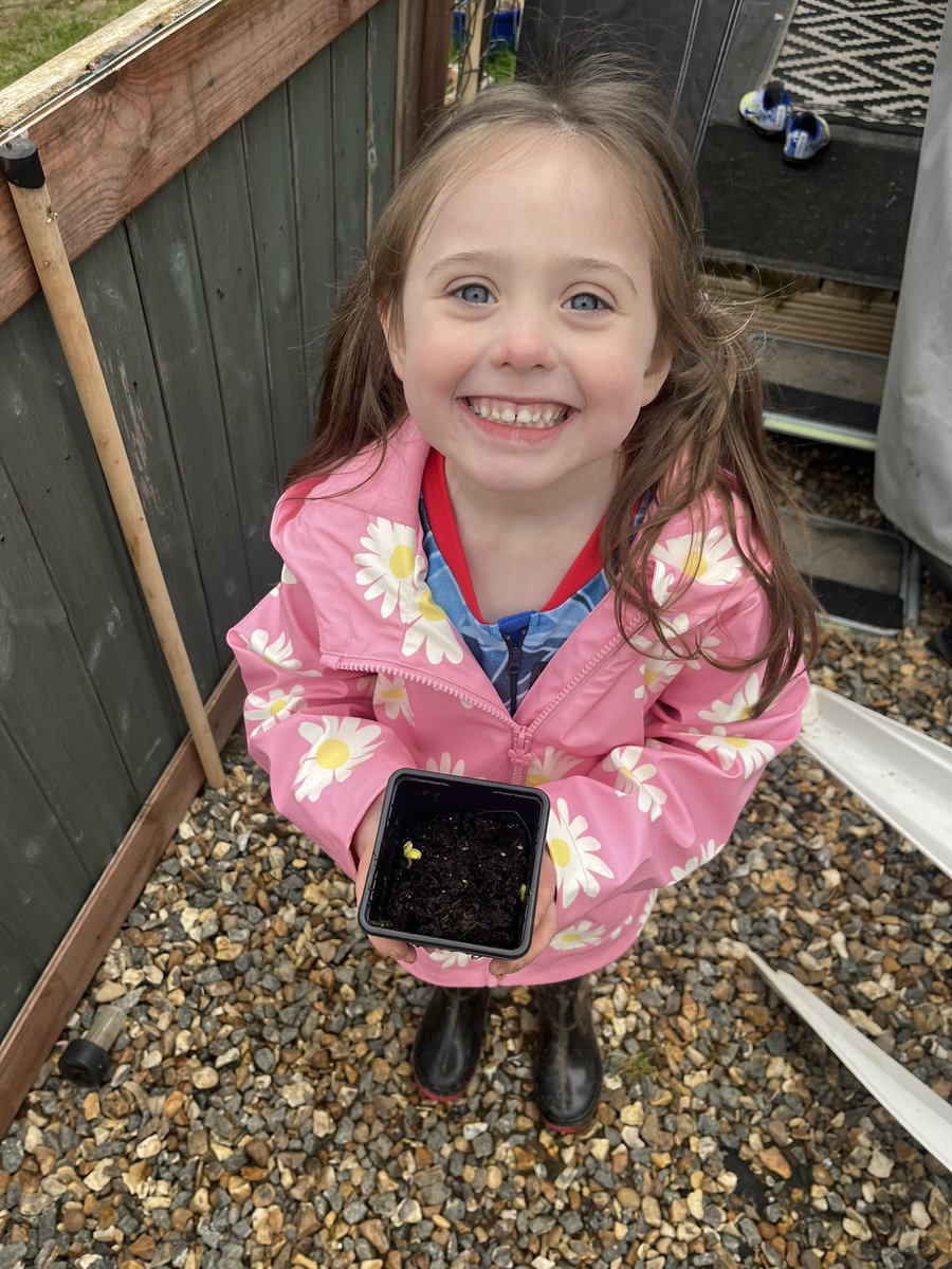 sammybow2008's tweet photo. @ReceptionSav Evie was very excited when we got to the caravan this weekend her sunflower has started to sprout 🥰 https://t.co/lnJ3sfCXM7