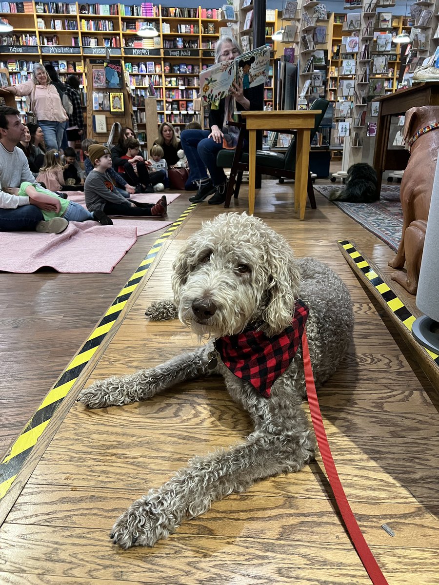 Happy #IndieBookstoreDay 📚🎉🐾 Is your store dog-friendly? Do you have an in-store pet? Hector would like to know! #kidlit #bookstore #indiebooks #dogs @ParnassusBooks1 @banksquarebooks @ElliottBayBooks