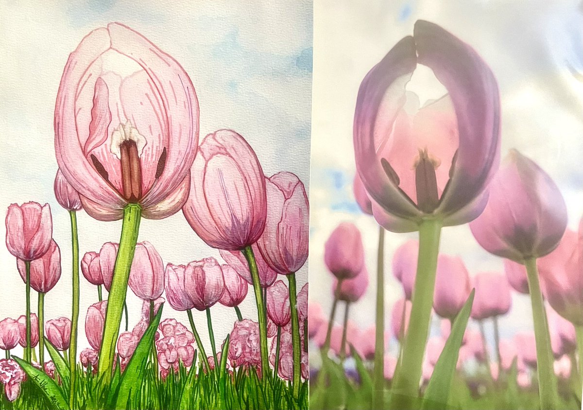 I don't usually take the time to paint, but a favorite photo from last season inspired me to create a mixed media piece using watercolors and markers😊🌷

#tulips #pnw #sonorthwest #watercolors #tulipfestival