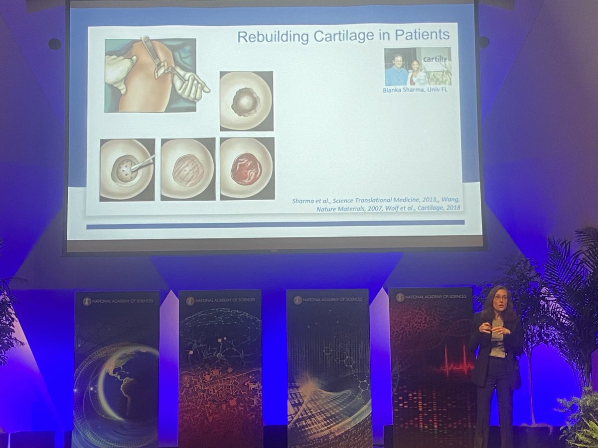 Great talk by Jennifer Elisseeff about tissue regeneration, inspired by salamander regeneration, at #NAS161. I need some of this!