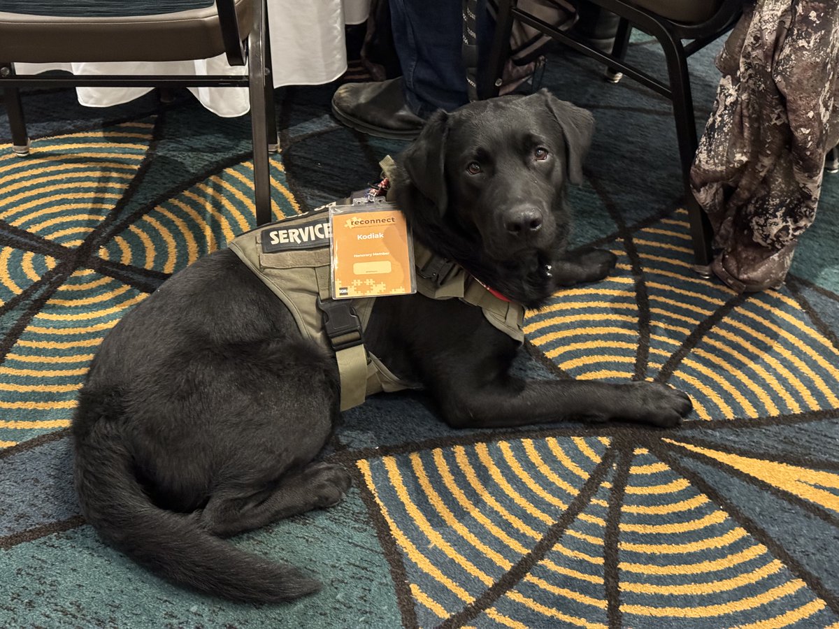 Special feature of a very good boy at #SGEUnion convention: Kodiak, the service dog. 14/10 @dog_rates