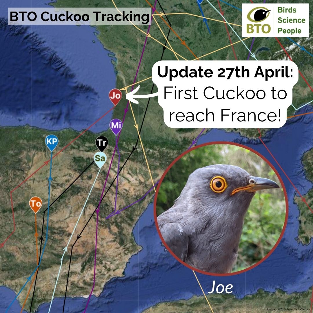 Bonjour! 🎉 Joe has arrived in France, but hot on his heels is KP. 😀Will KP head north before making a short crossing over the Bay of Biscay, or might he fly east and cross into France to the west of the Pyranees? Meanwhile Cuach Cores is yet to cross the Sahara, but he’s made…