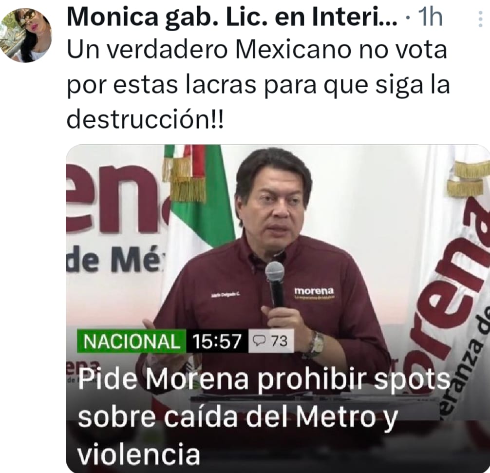 Itta2024's tweet photo. Todo lo quieren a su manera y no conforme a la Ley!

#HugoCulpable
#MorenaEncubreDelincuentes https://t.co/c3dKyIvmCm