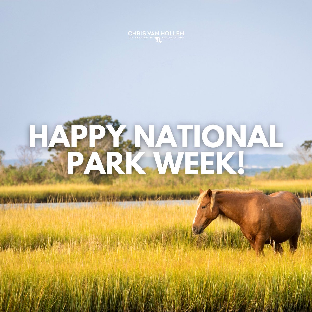 MD has some of our most beautiful national parks, including Assateague Island National Seashore shown below. From Assateague to Catoctin, we must protect our national wonders — including by passing my & @RepSarbanes’s Chesapeake National Recreation Area Act! #NationalParkWeek🏞️