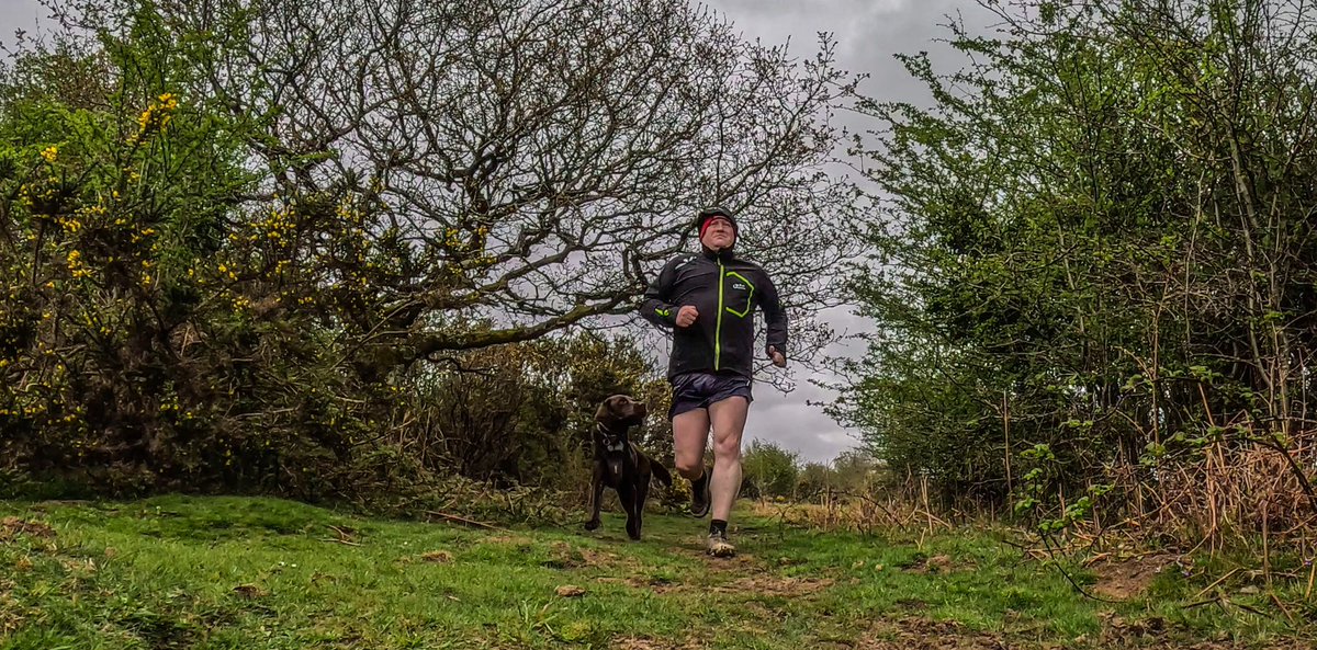 madmoosey's tweet photo. Day 1806 &amp; 1807 of the run streak. yesterday it rained on the Moors, today is was lush sunshine. Oppo didn’t care either way he enjoyed himself on both runs 😎 https://t.co/0gjuVz8tWl