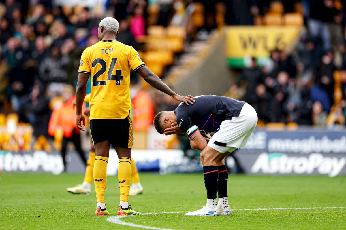 Toti Gomes 💫 tweet media