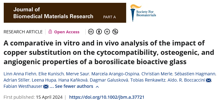 Another output of our @Boccaccini_Lab @UniFAU collaboration with Dr. F Westhauser @uniklinik_hd @Marangoos and team #OpenAccess in JBMR-A➡️Cytocompatibility, osteogenic and angiogenic properties of Cu doped borosilicate bioactive glass, @dfg_public funded onlinelibrary.wiley.com/doi/10.1002/jb…