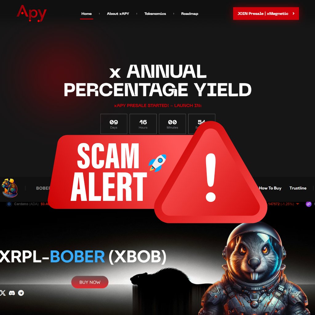 ⚠️ Warning: Project @xAPYToken $xAPY  appears to be a scam. They are the same group behind  @Bober_XRPL $XBOB on the #XRPL, which now has zero trading volume. 

Please be  cautious and avoid engaging with them. #CryptoScamAlert #XRPCommunity #XRP #xAPY

👉Like | Retweet | Comment