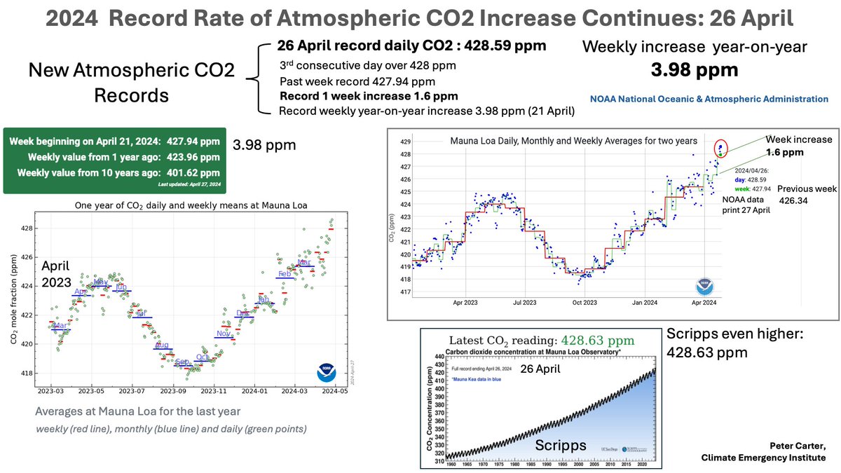 RECORD ATMOSPHERIC CO2 INCREASE CONTINUES 26 April: Record 428.59 ppm. Record 3 days over 428 in a row. Record weekly year-on-year increase 3.98 PPM Record one week increase 1.6 ppm. NOAA PLANET CODE DOUBLE RED (WMO) gml.noaa.gov/ccgg/trends/gr… #CO2 #climatechange #globalwarming