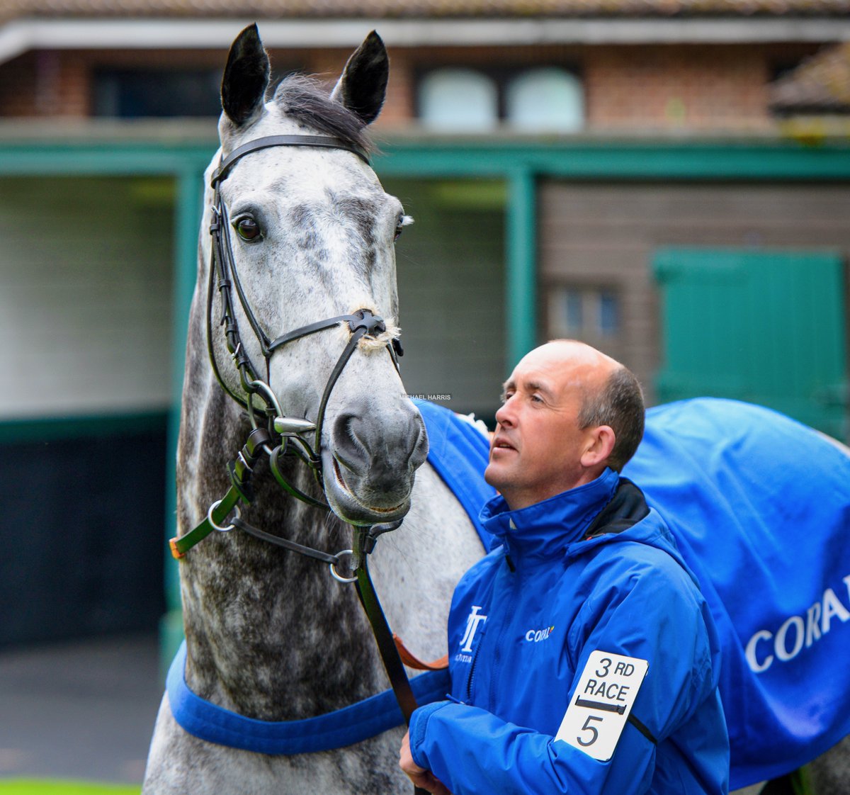 ELIXIR DE NUTZ and Ritchie pre-parade at Sandown today. If I wanted anyone to spend my final moments with it would be someone who looked at me and loved me as much as this. RIP Elixir De Nutz x