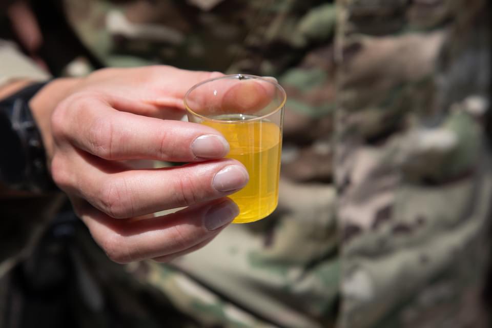 In Irak is door de Force Protection compagnie, samen met het National Support Element en de adviseurs van NMI en OIR, Koningsdag gevierd. De dag begon met de NLD-games, een variant op de koningsspelen. Aansluitend aan de NLD-games werd er met een traditionele Heildronk geproost.