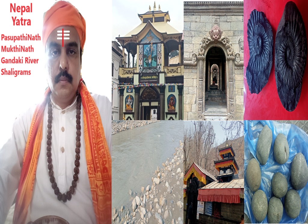 Nepal Tour Complete Detials - Seshapaan Swamiji
youtu.be/deuqdon1qwg
Mukthinat,Pasupathinath,Guhyeshwar,Koteshwar,Gandaki River,Shaligram,Himalayas
#seshapaavan #paavantrust #paavanashram #Nepaltour #Shaligram