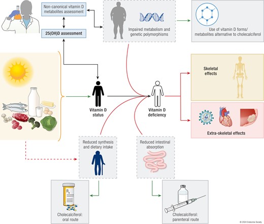 An entrepreneurial lab-owning physician, a laboratory biochemist, an osteoporosis expert, an oncologist, a nutritionist, and an epidemiologist sat down at the bar and said-lets talk about #VitaminD testing academic.oup.com/edrv/advance-a…