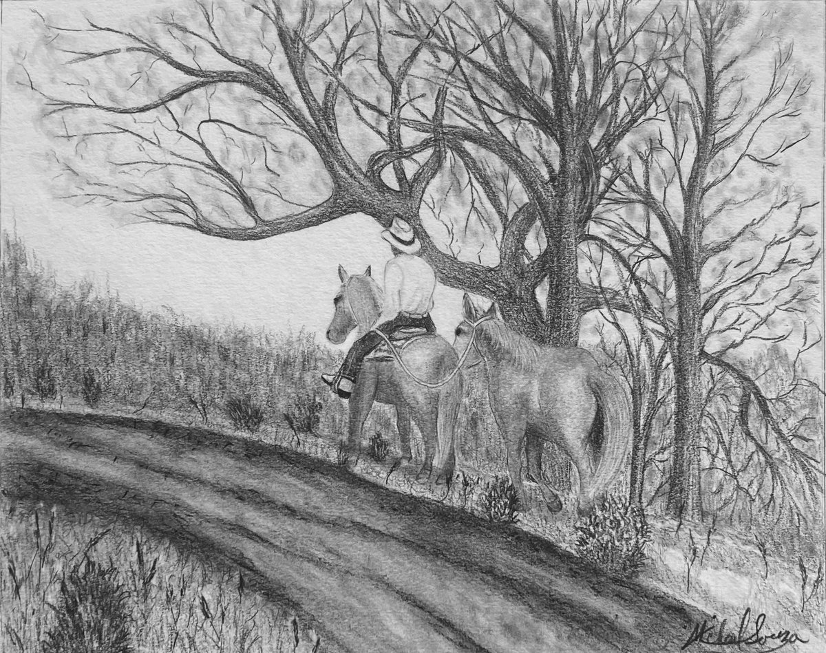 This is the best type of drawings, someone's paying for it.