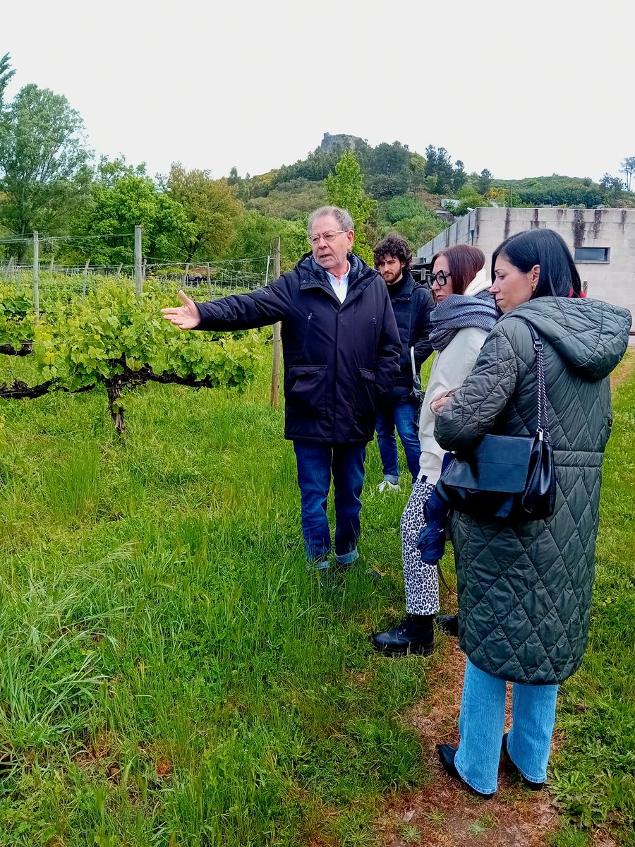 🥂 Hoy finaliza nuestra promoción de la Primavera de puertas abiertas en las rutas de los vinos con la visita a la DO Monterrei con un grupo de influencers El próximo fin de semana comenzamos las actividades para el público en Valdeorras 🔗 xunta.gal/es/notas-de-pr…