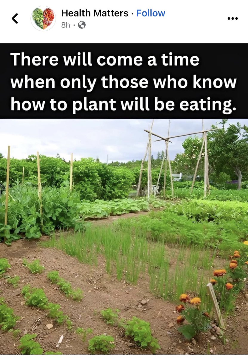 Do you all believe this? I tend to think that there will come a time when only those who know how to hunt will eat. @KenDBerryMD