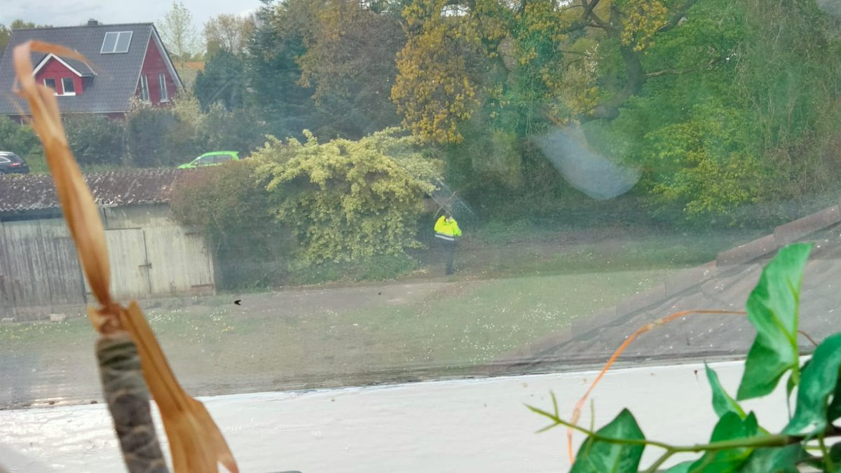 die_liebe_caro's tweet photo. #Arian #Elm #Kindvermisst #Oste #Oldendorf

Suche heute bei uns im Ort und auf unserem Grundstück.... 1x vormittags 1x noch intensiver 17:30 bis 17:55 ... 🙏🫶🙏 https://t.co/pMDpuvVqxm