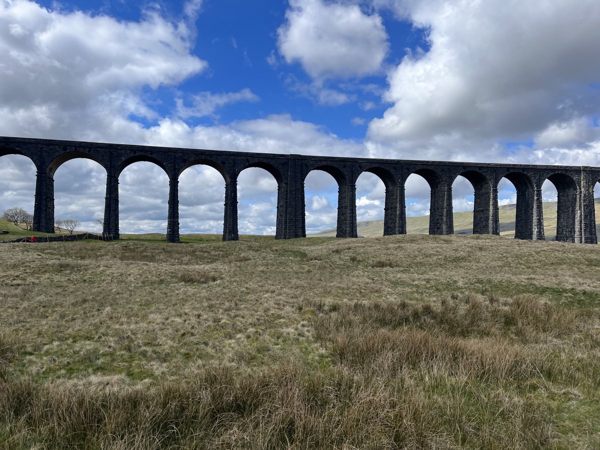 Carmel Bones tweet media