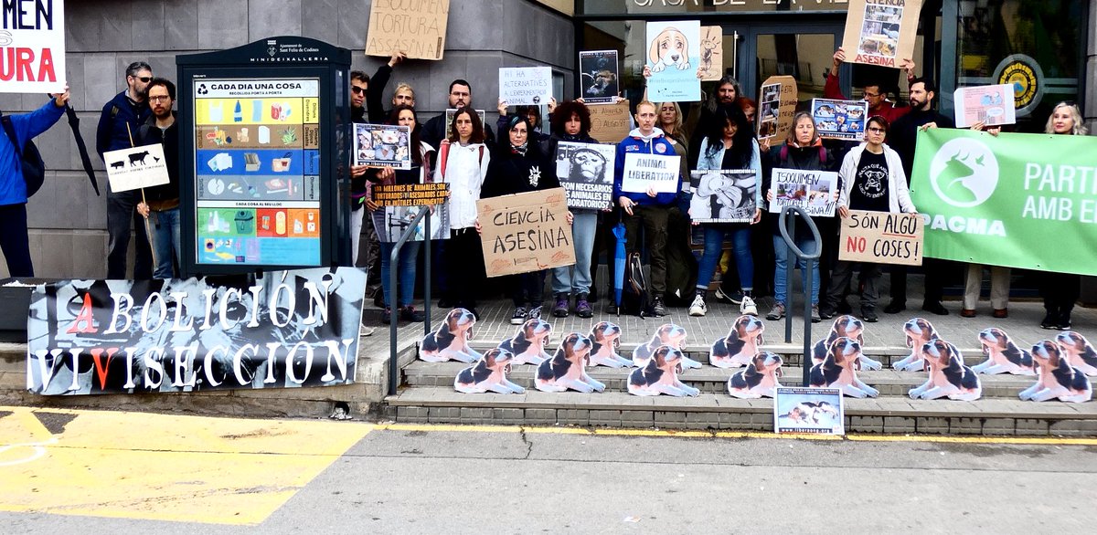 StopCamarles's tweet photo. Hoy, hemos vuelto a escuchar los lamentos de los cientos de beagles que permanecen encerrados en Isoquimen y que van a ser vendidos a laboratorios para su inútil masacre en “experimentos”. Hoy, la realidad nos ha vuelto a recordar de la forma más dolorosa por quiénes y porqué seguimos trabajando cada día contra el negocio de la experimentación animal.

Muchas gracias a todxs lxs que os habéis unido a la manifestación y a lxs que seguís luchando contra este cruel negocio. Gracias a todxs lxs que nos ayudáis a seguir intentándolo.

Hasta que la última jaula quede vacía. Hasta acabar con el atroz negocio de la experimentación animal.

https://t.co/PGIIIP0G2e

#NoEsCiencia #AboliciónVivisección #WDAIL #WDAIL24