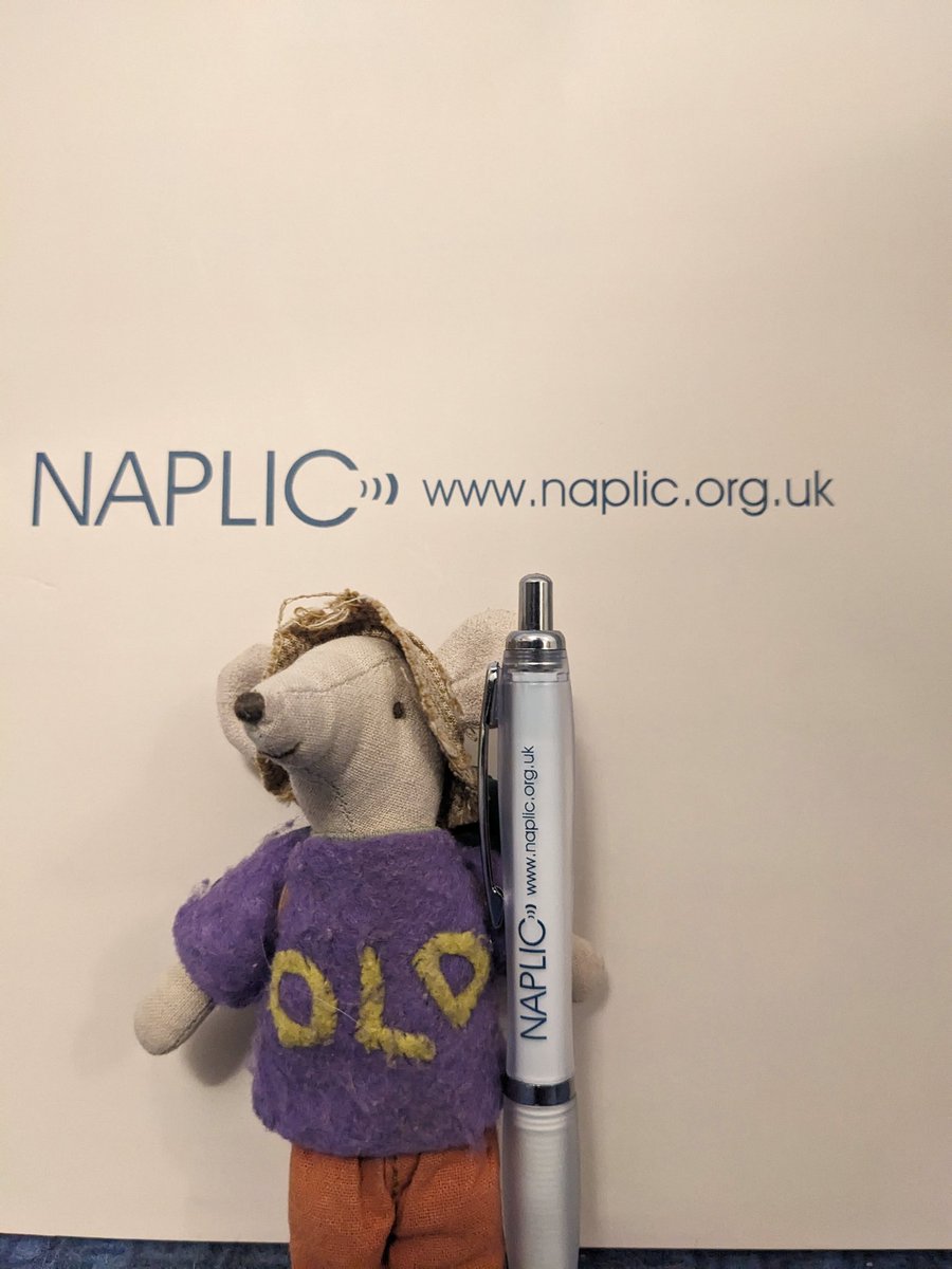 Just got home from #naplic24. An inspiring day all about #devlangdis.  Let's continue to spread awareness far and wide! 💜💛