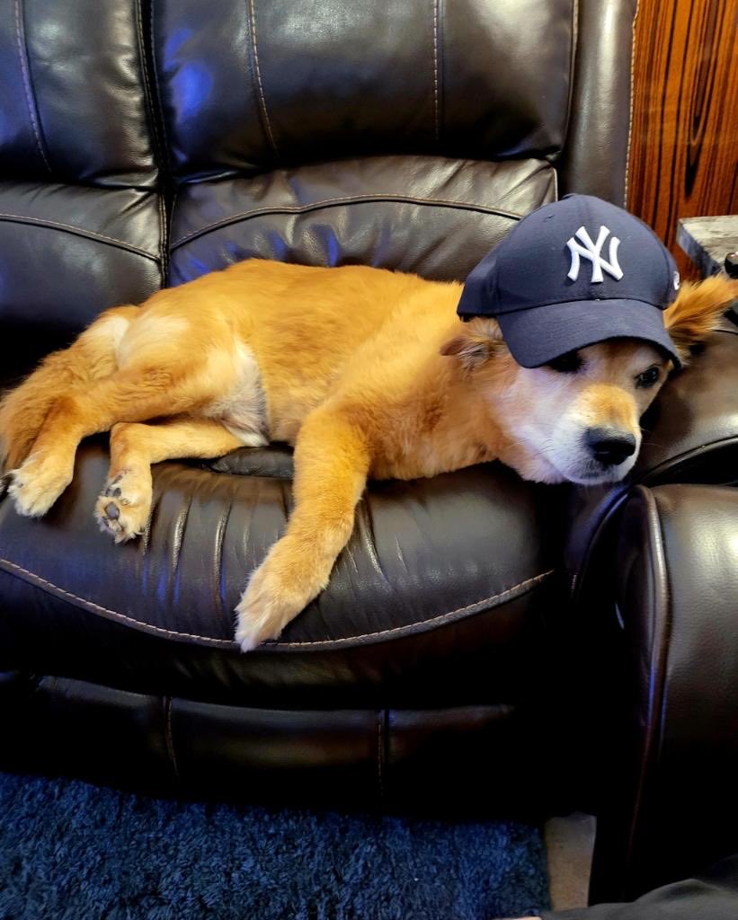 ⁦<a href="/UCFProduction/">UCF Production</a>⁩